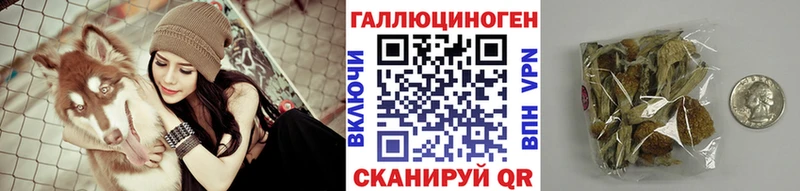 Псилоцибиновые грибы мицелий  Тайшет 